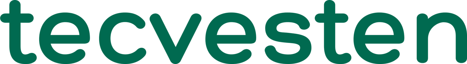 tecvesten consulting